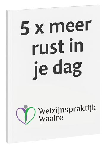 E-Book Marianne Vliegenthart 5x meer rust in je dag